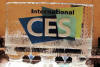 CES 2012 Ice Sculpture