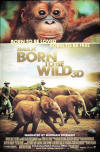 Born to be Wild